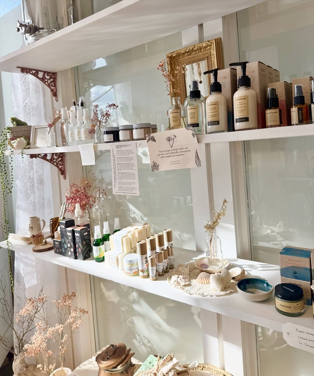 Post 5 by Noel Herbal Skincare on Instagram (image)