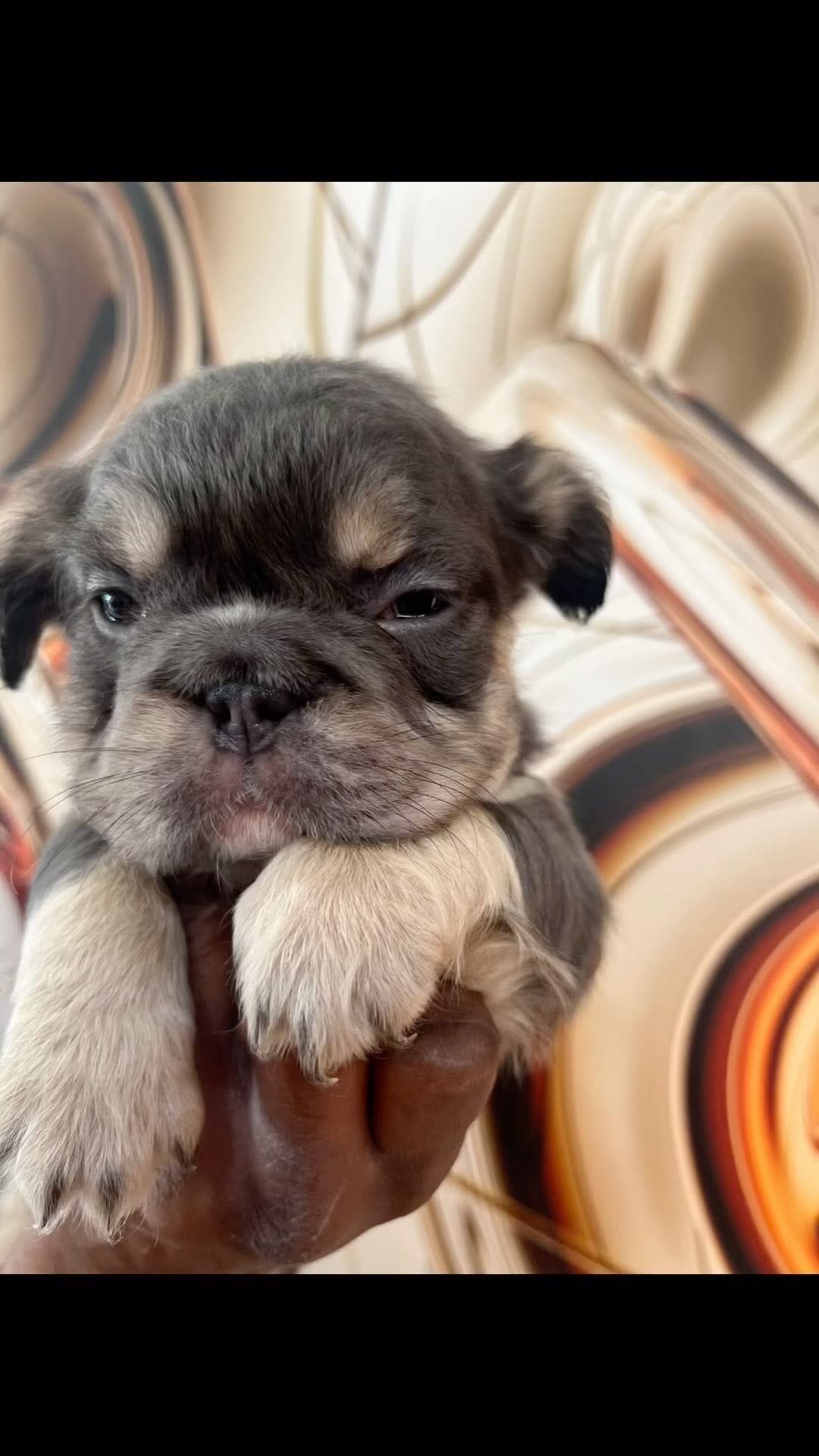 Post 7 by MeMe on Instagram (video)
