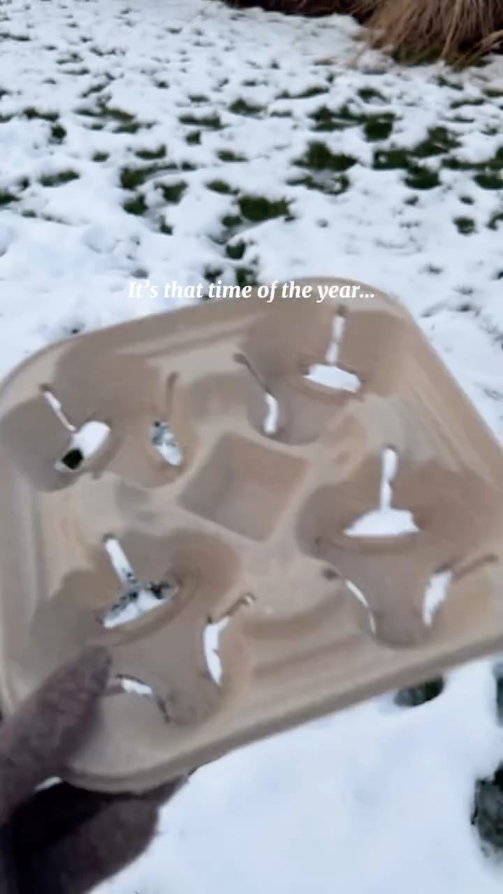 Post 5 by Rosebud Perfume Company on Instagram (video)