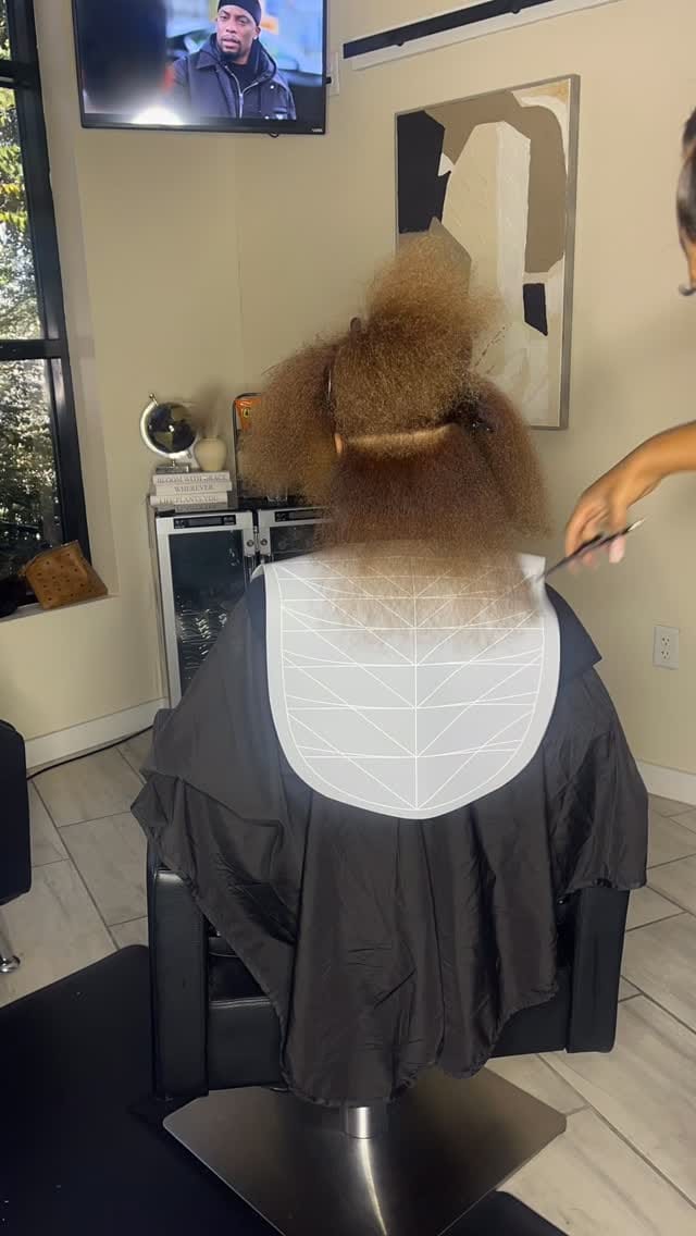 Post 8 by Natural Hair Care Pro on Instagram (video)