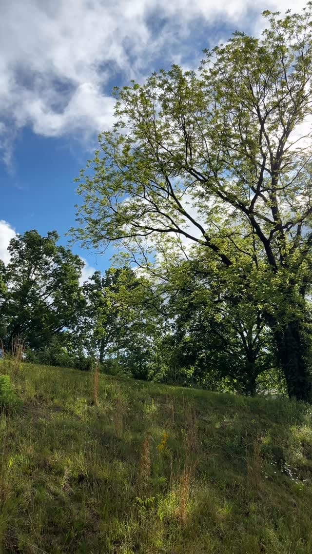 Post 1 by Ezra 🍉 on Instagram (video)