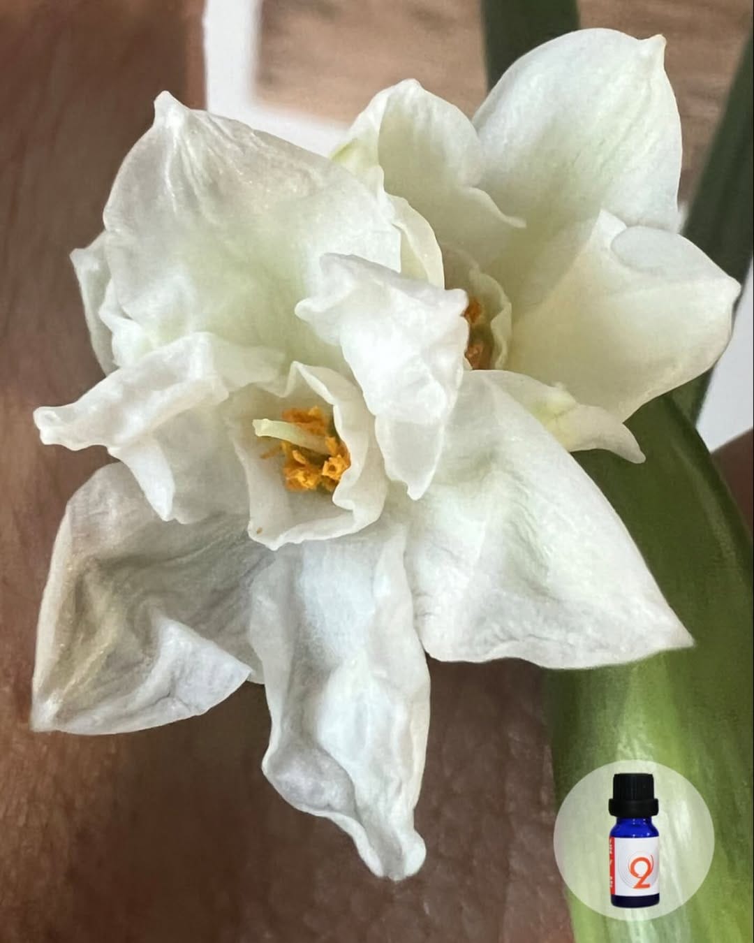 Post 10 by Moon Oils by Adele on Instagram (image)
