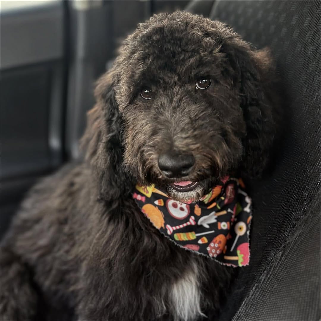 Post 2 by 𝗩𝗘𝗟𝗜𝗔 𝗢𝗖𝗛𝗢𝗔 𝗥𝗔𝗠𝗢𝗦 ☆ on Instagram (carousel)