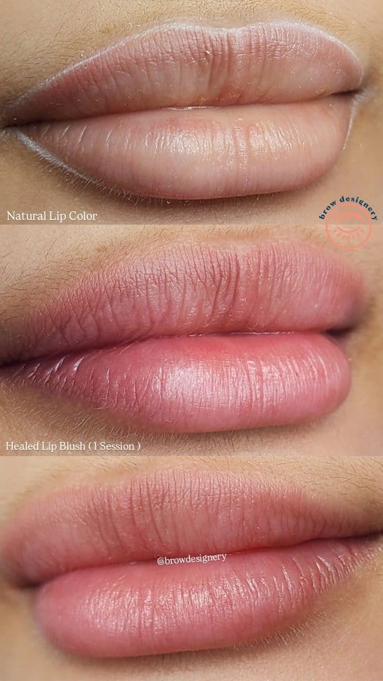 Post 9 by SHEBBY | NANO HAIRSTROKES / LIP BLUSH / REMOVAL | LAS PIÑAS on Instagram (video)