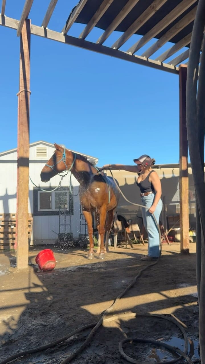 Post 7 by The CA Beauty Healer on Instagram (video)