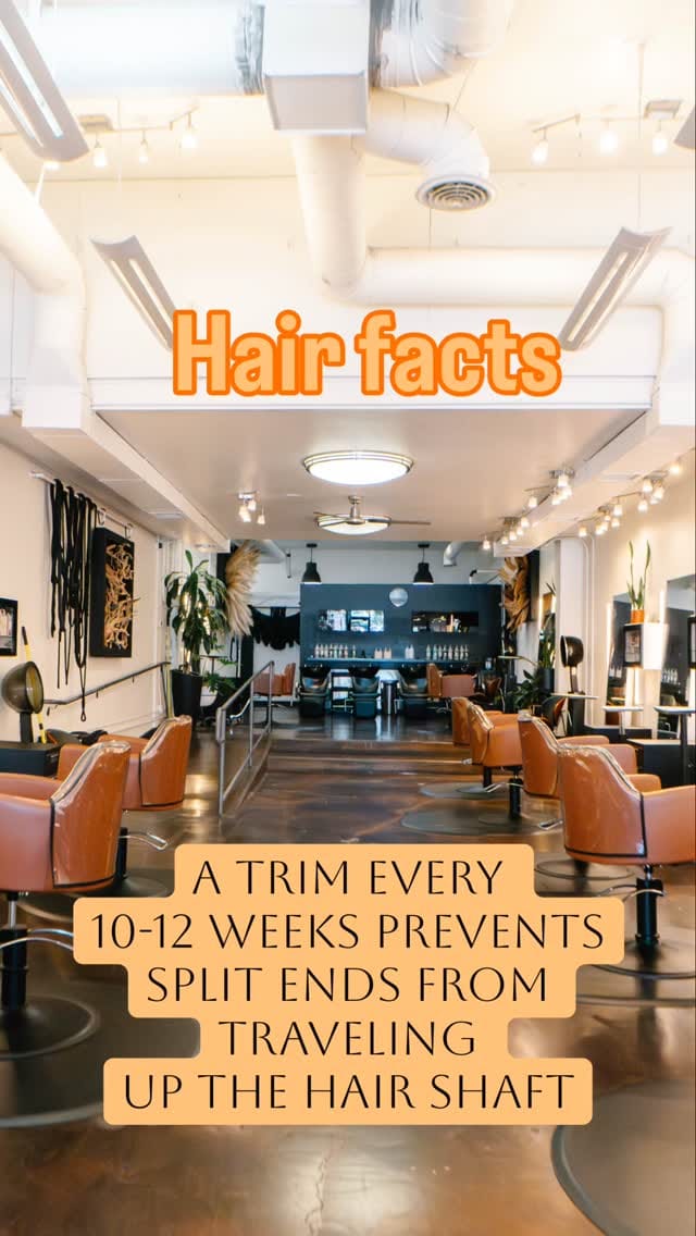 Post 8 by San Diego Hair Salon on Instagram (video)