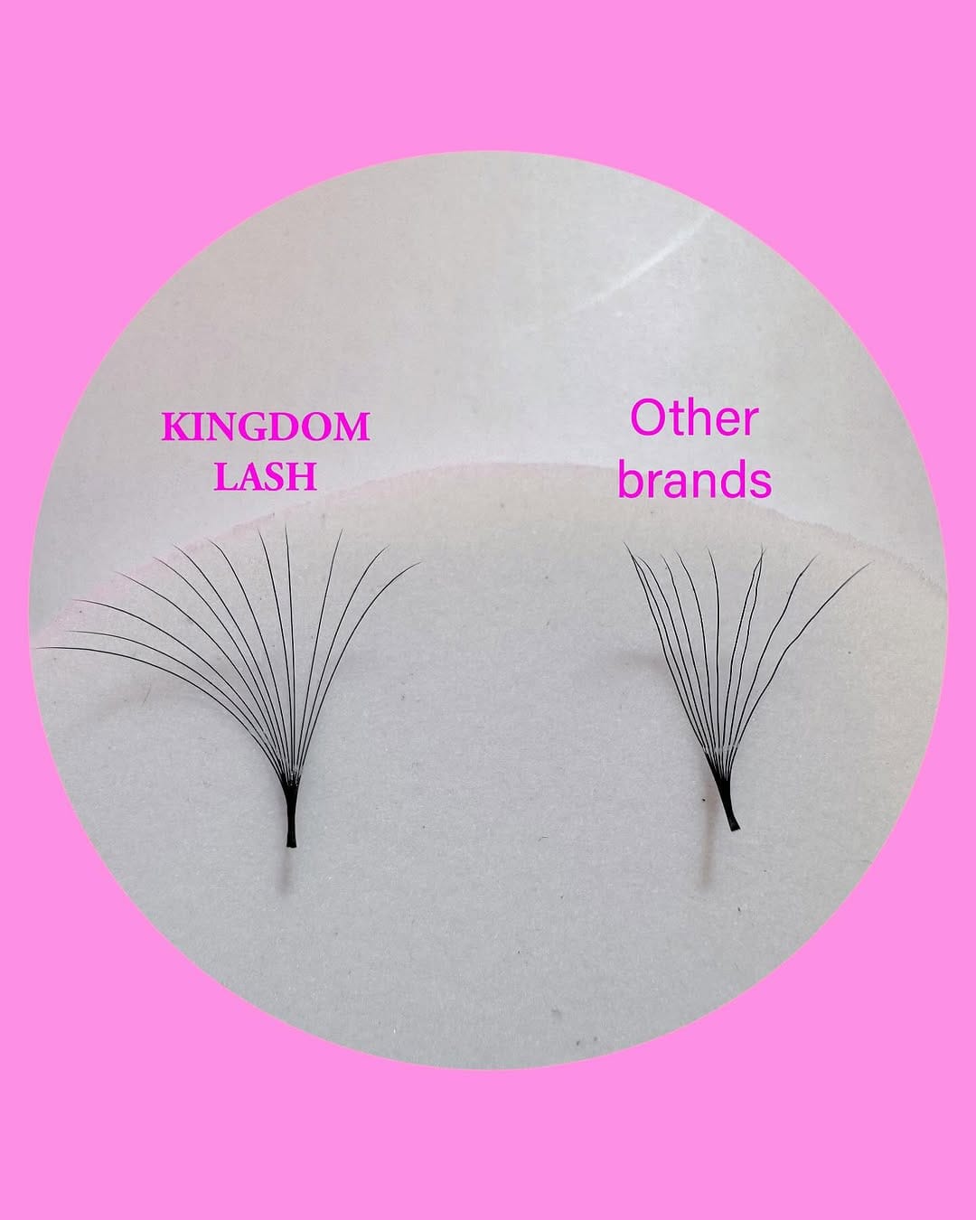 Post 10 by Kingdom Eyelashes on Instagram (image)