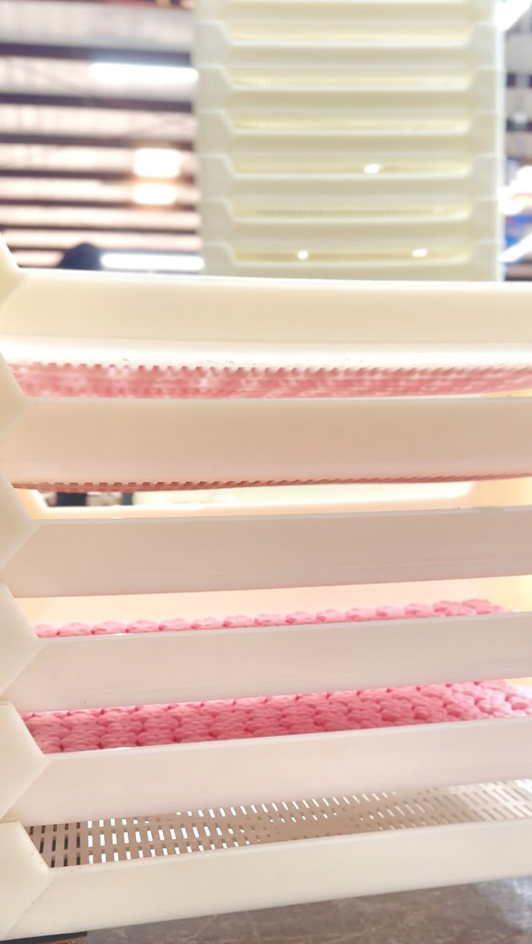 Post 7 by The Lavish Goat Bath Bombs and Shower Steamers on Instagram (video)