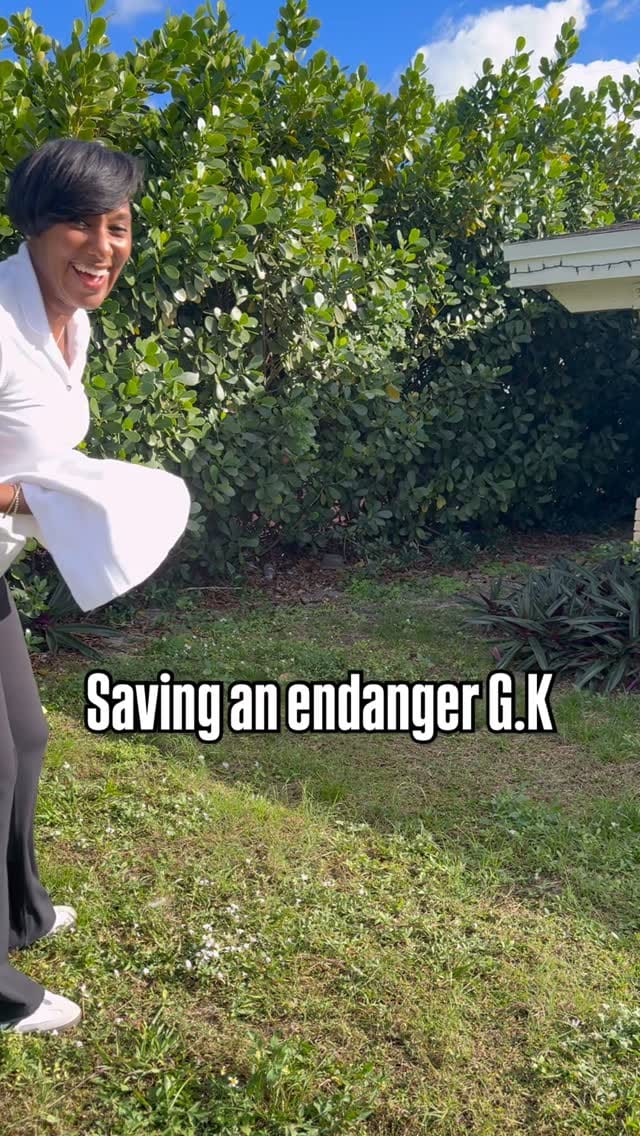 Post 2 by Lisset Tresvant on Instagram (video)