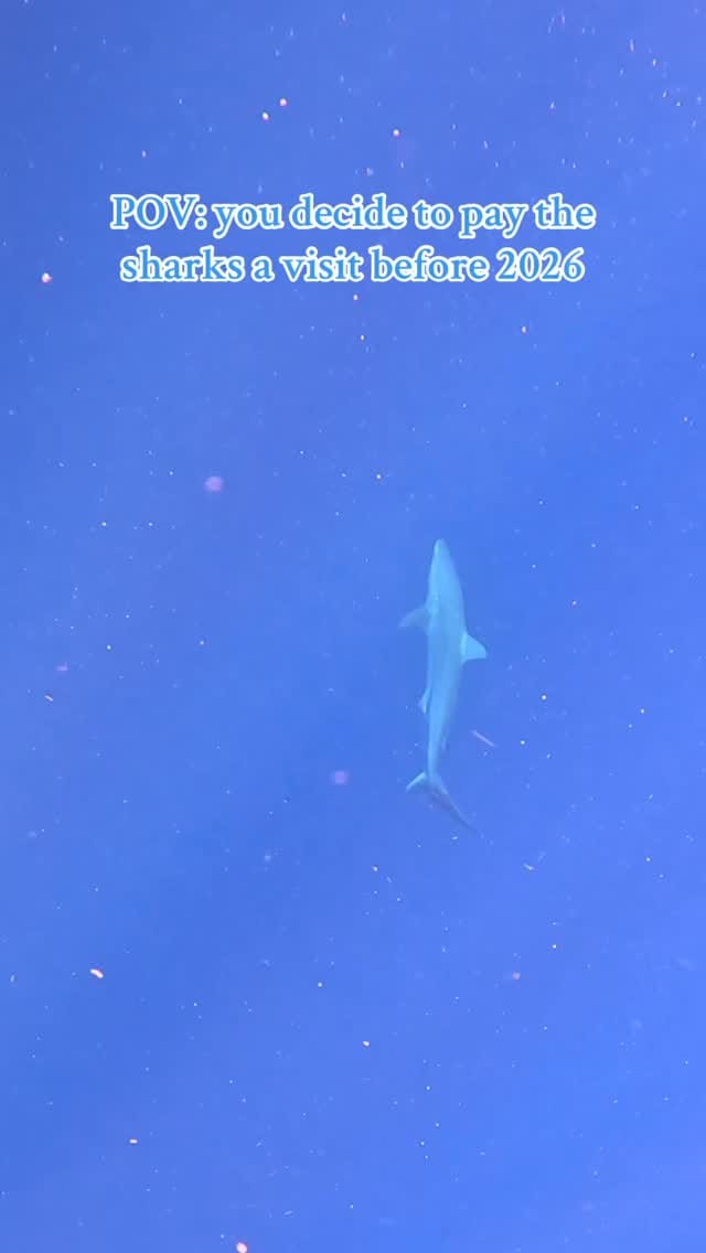 Post 4 by Hannah Norwood on Instagram (video)