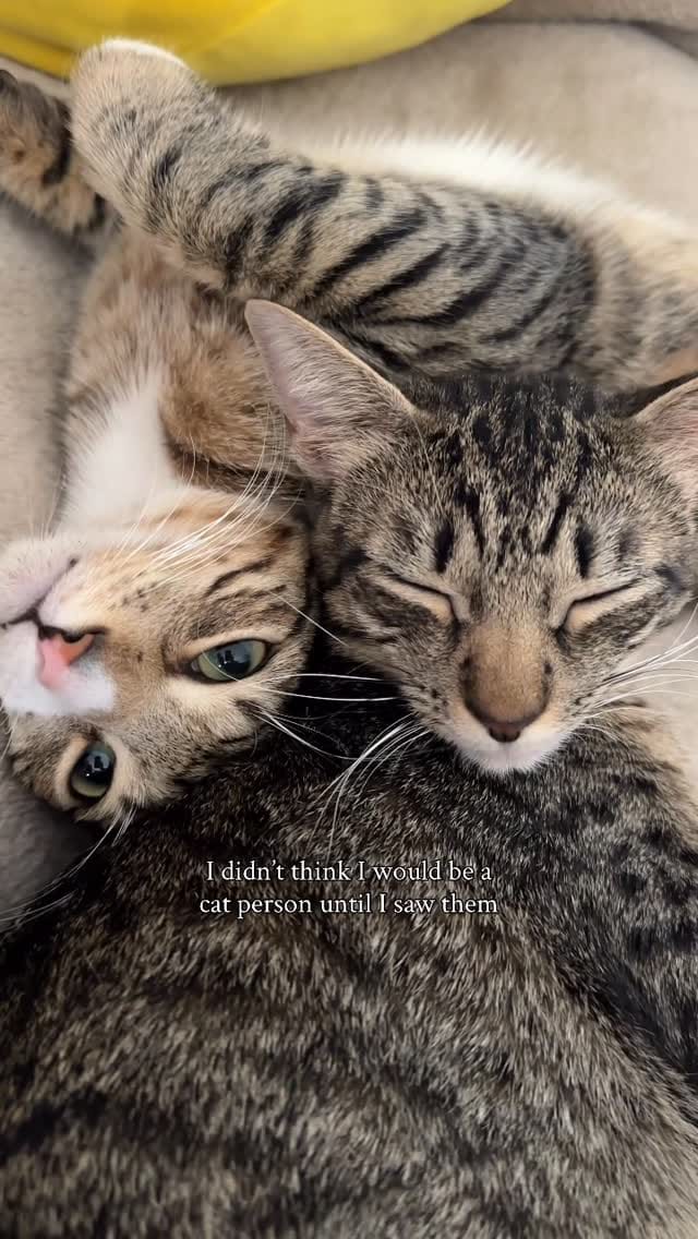 Post 7 by Hannah Norwood on Instagram (video)