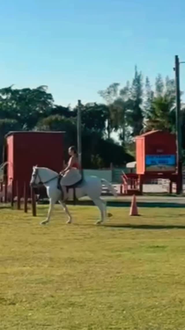 Post 2 by Freeta on Instagram (video)