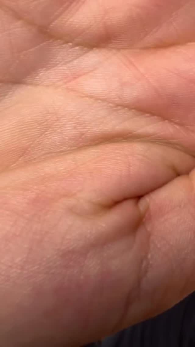 Post 2 by Alejandra Alfaro on Instagram (video)