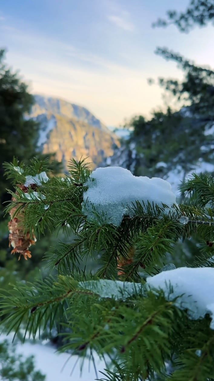 Post 5 by Suchada | Eco Everyday on Instagram (video)