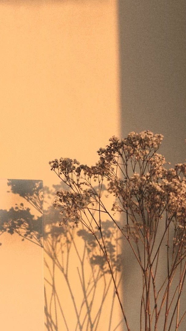 Post 4 by Franco Della Grazia on Instagram (video)