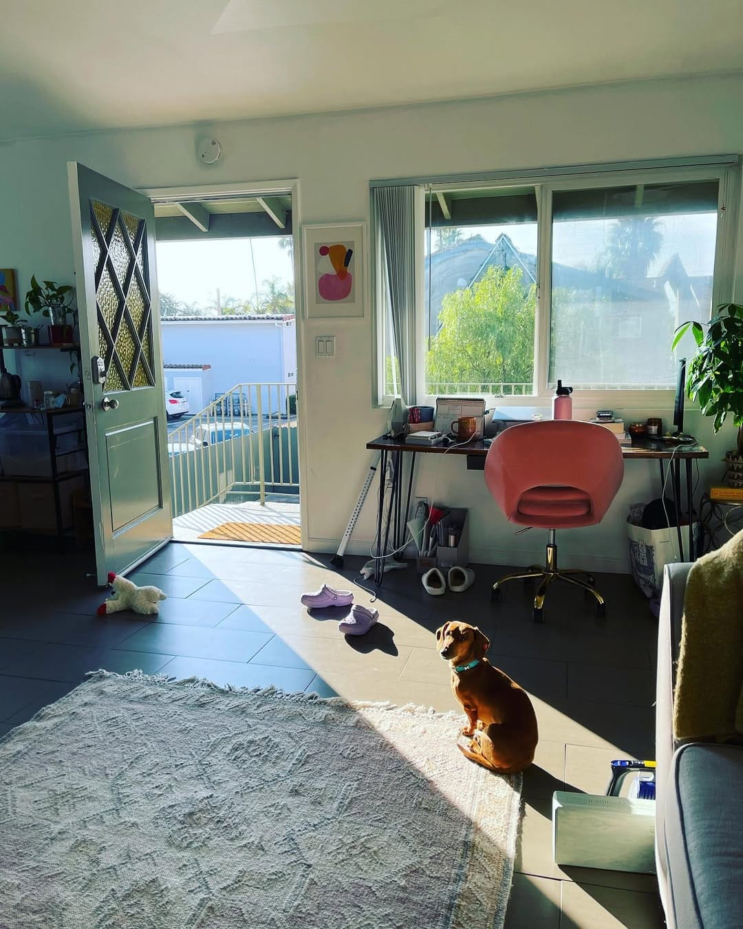 Post 8 by Overcoat 4 Pets on Instagram (carousel)