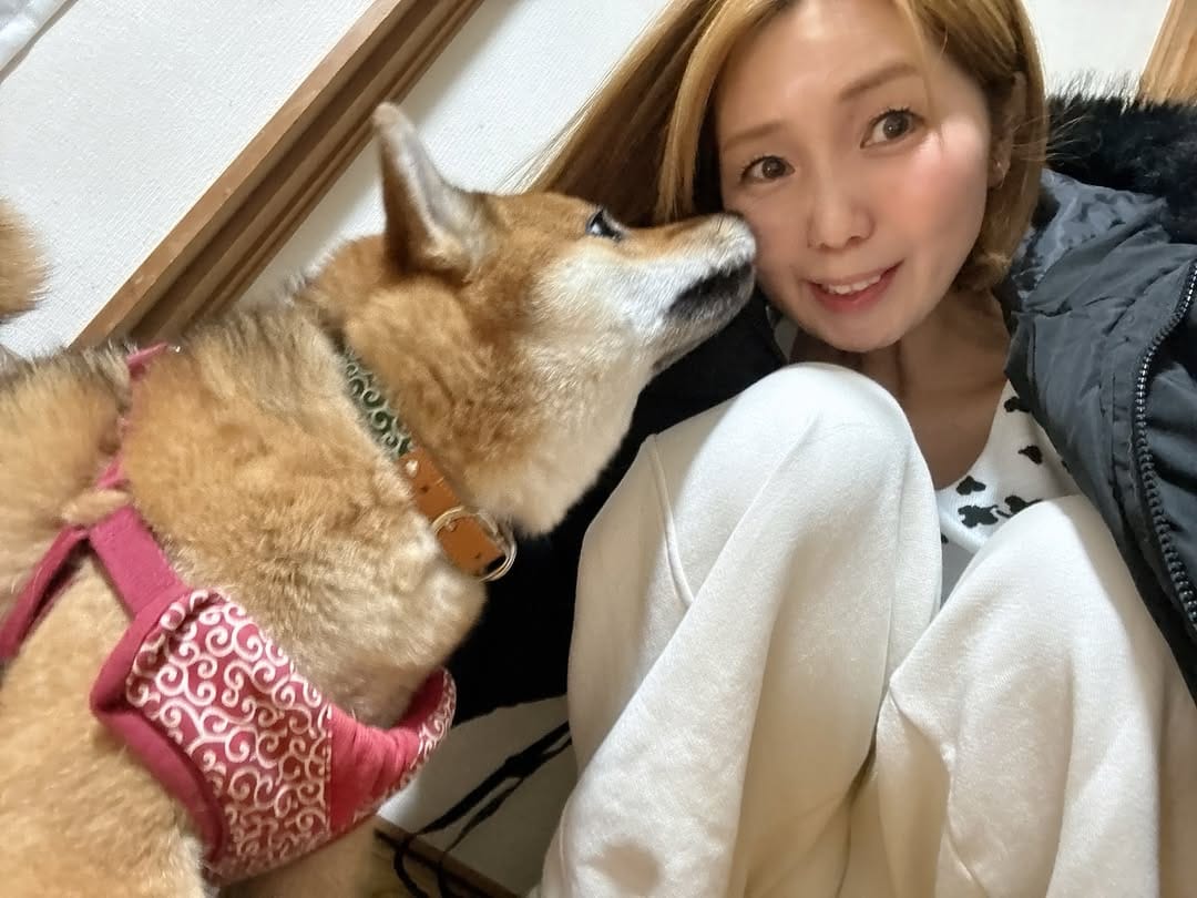 Post 2 by げっしるい on Instagram (carousel)