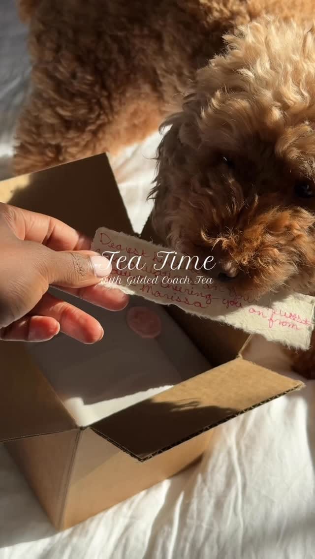 Post 5 by Bestie Keeks on Instagram (video)