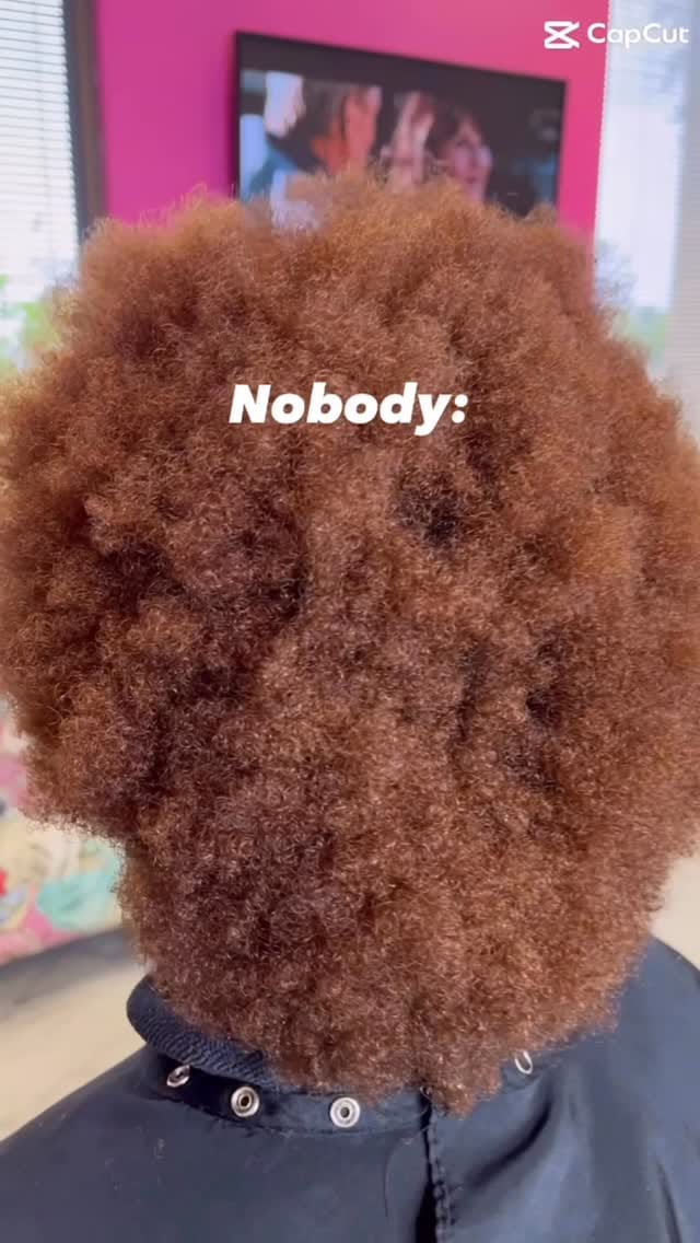 Post 3 by Yolanda Victoria - Houston Natural Hair Salon on Instagram (video)