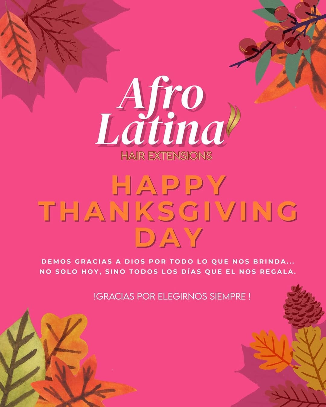 Post 8 by Afro Latina | Extensiones Premium on Instagram (image)