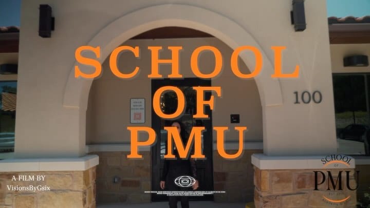 Post 9 by School of PMU Laser and Esthetics (Texas) on Instagram (video)