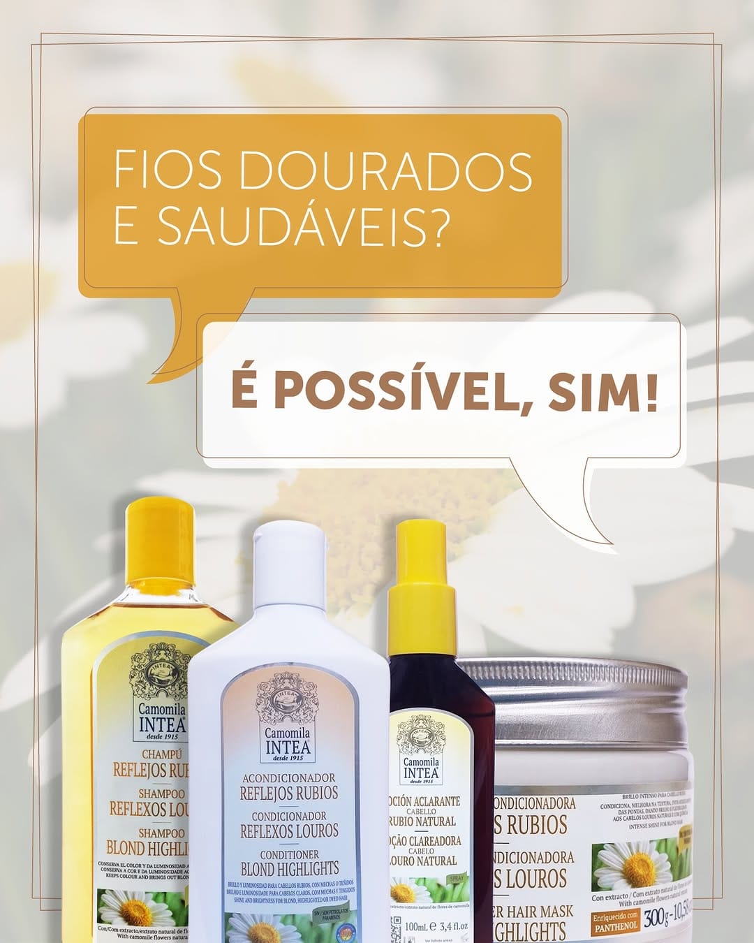 Post 1 by Intea Brasil on Instagram (image)