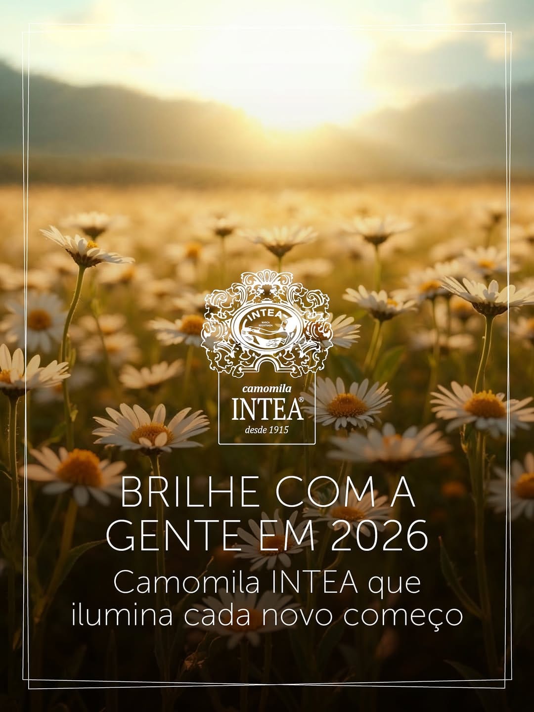 Post 4 by Intea Brasil on Instagram (image)