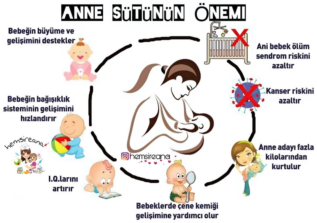 Post 6 by JİYAN SAMİ on Instagram (image)