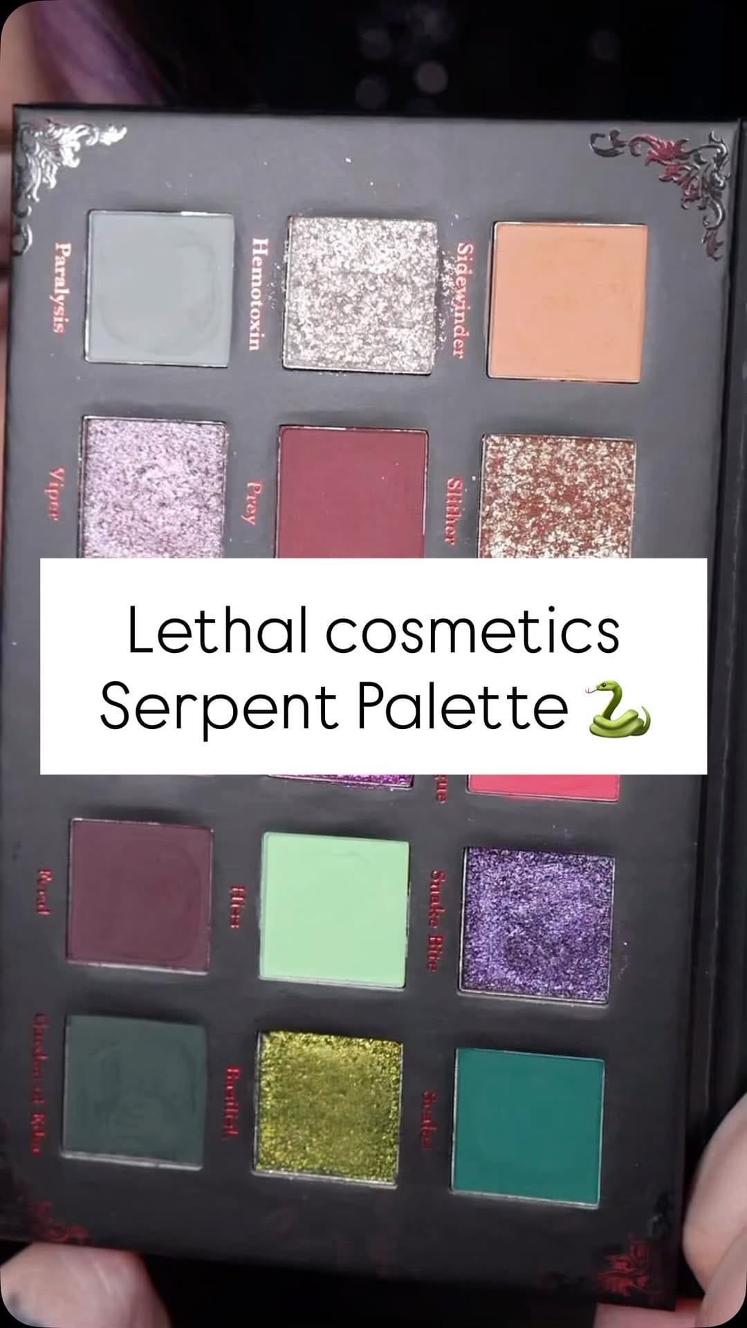 Post 7 by Ellen mcevoy on Instagram (video)