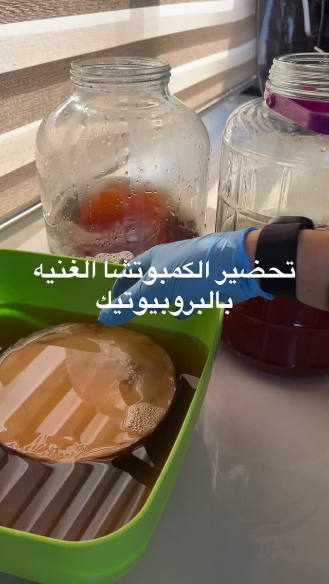 Post 3 by Gloria  Shihab on Instagram (video)