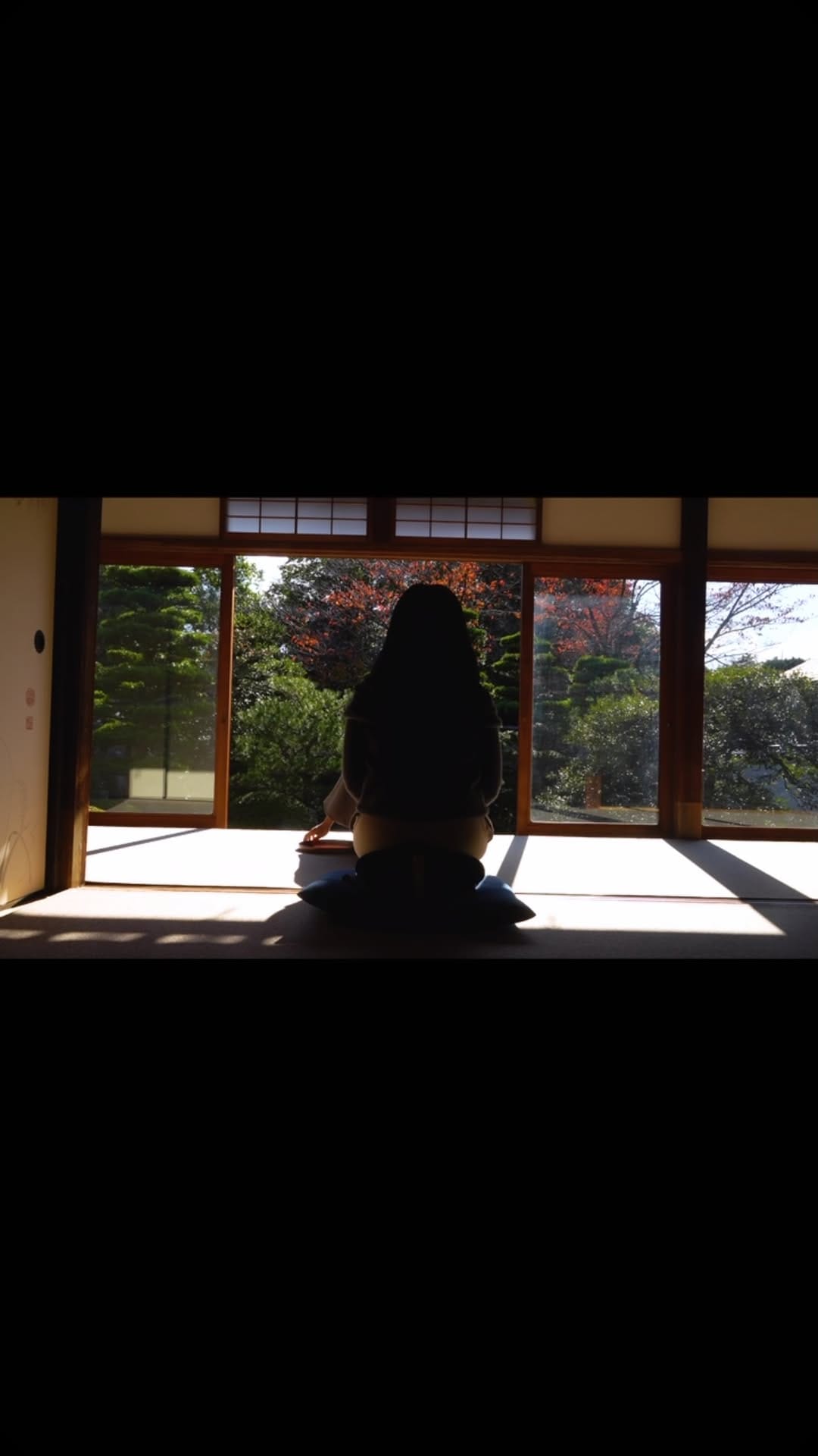 Post 5 by Shanice Roshee on Instagram (video)