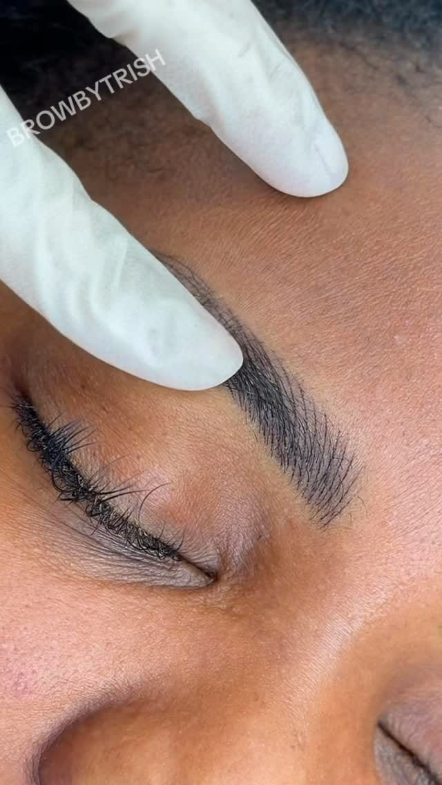 Post 5 by Trish | PMU Artist on Instagram (video)