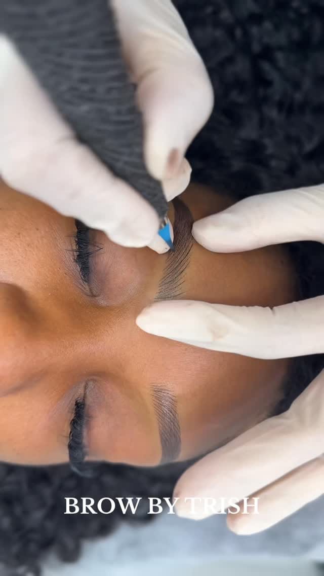 Post 10 by Trish | PMU Artist on Instagram (video)