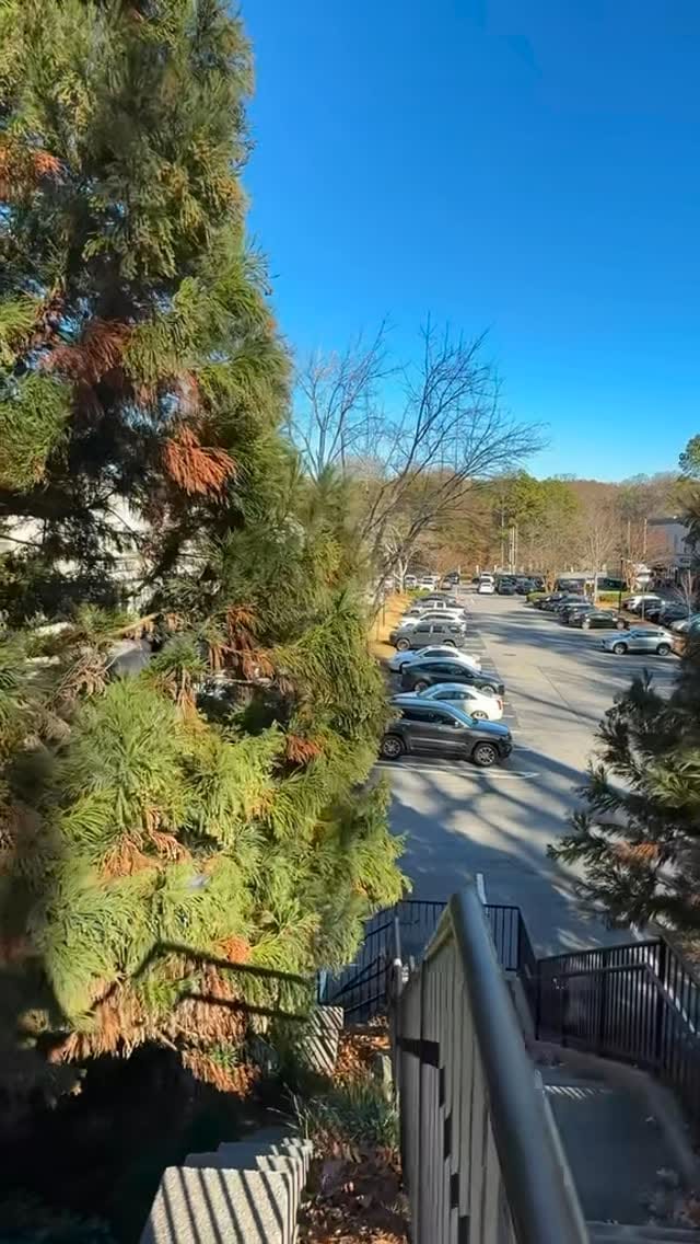 Post 8 by Trish | PMU Artist on Instagram (video)
