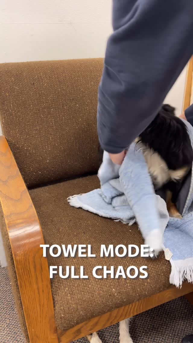 Post 1 by Freestyle Systems on Instagram (video)
