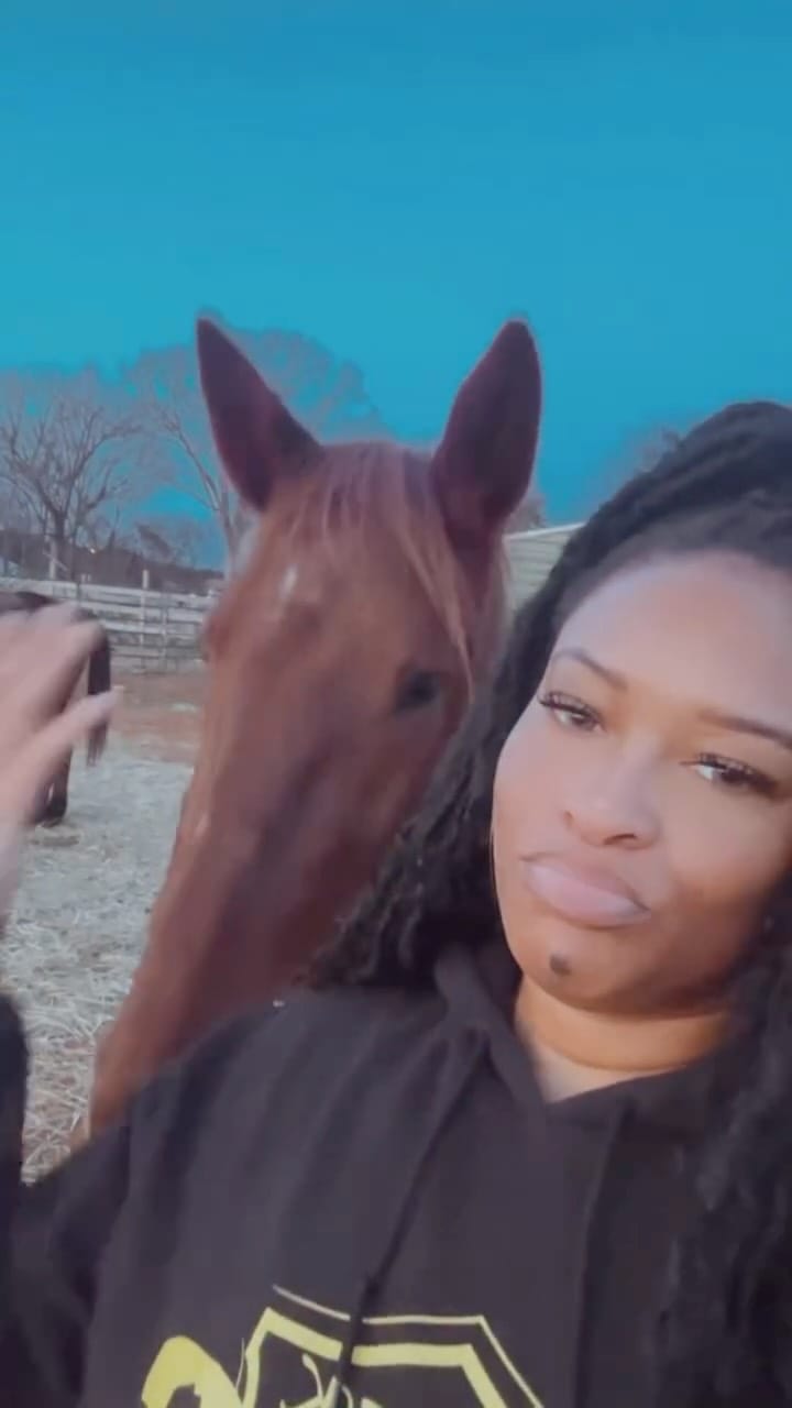 Post 1 by @harleygrl82 on Instagram (video)