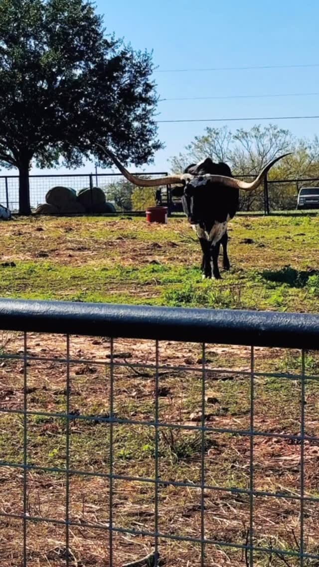 Post 4 by Dr. Jennifer Walden on Instagram (video)