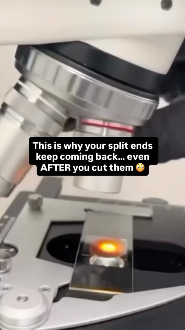 Post 6 by TAYLOÁNI on Instagram (video)