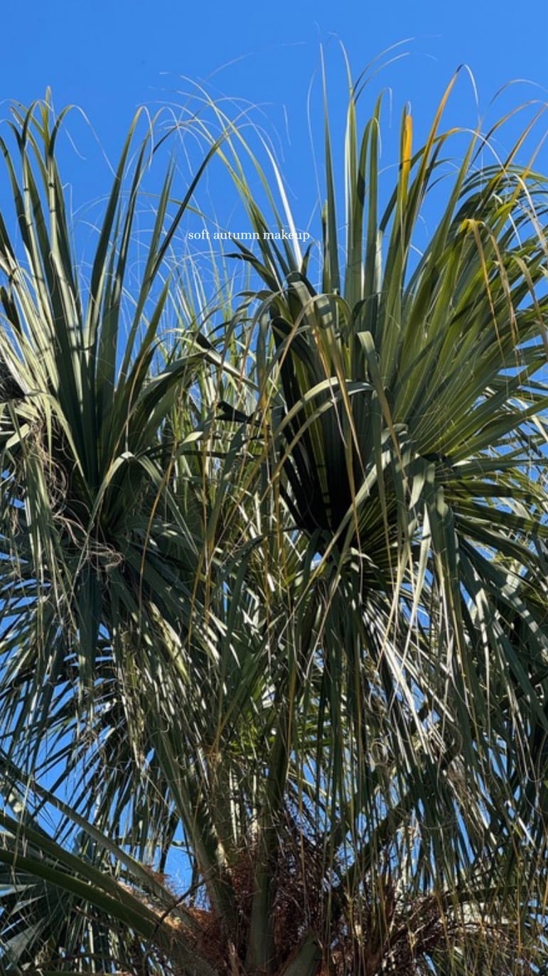 Post 4 by jacquelyn mengel larsen on Instagram (video)