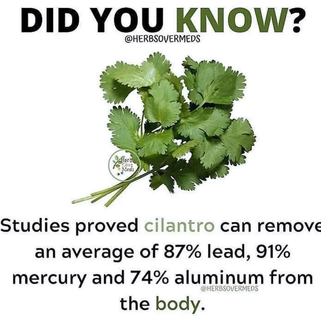 Post 6 by healthyy_remedy on Instagram (image)