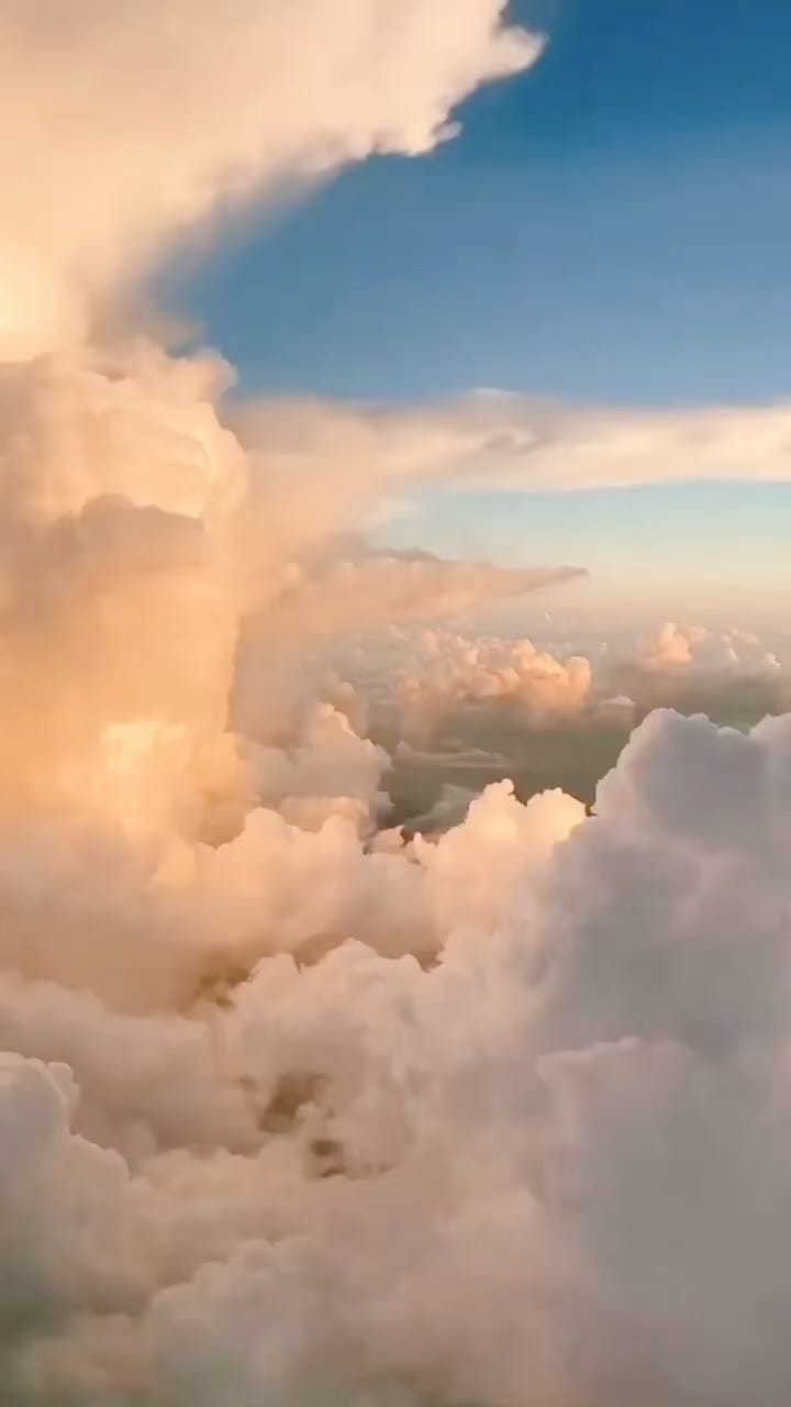 Post 5 by Ja'Maal Buster, The Doll on Instagram (video)