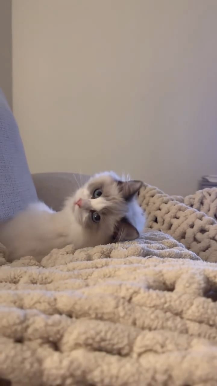 Post 7 by Mariah Love Lewis on Instagram (video)