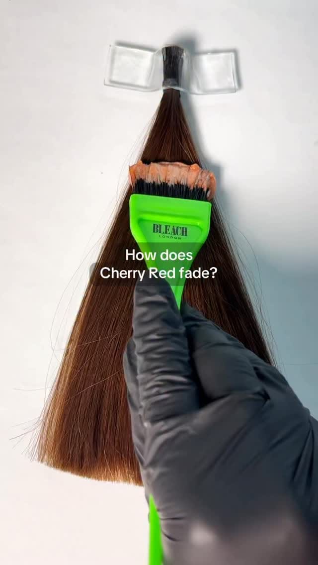 Post 6 by BLEACH on Instagram (video)