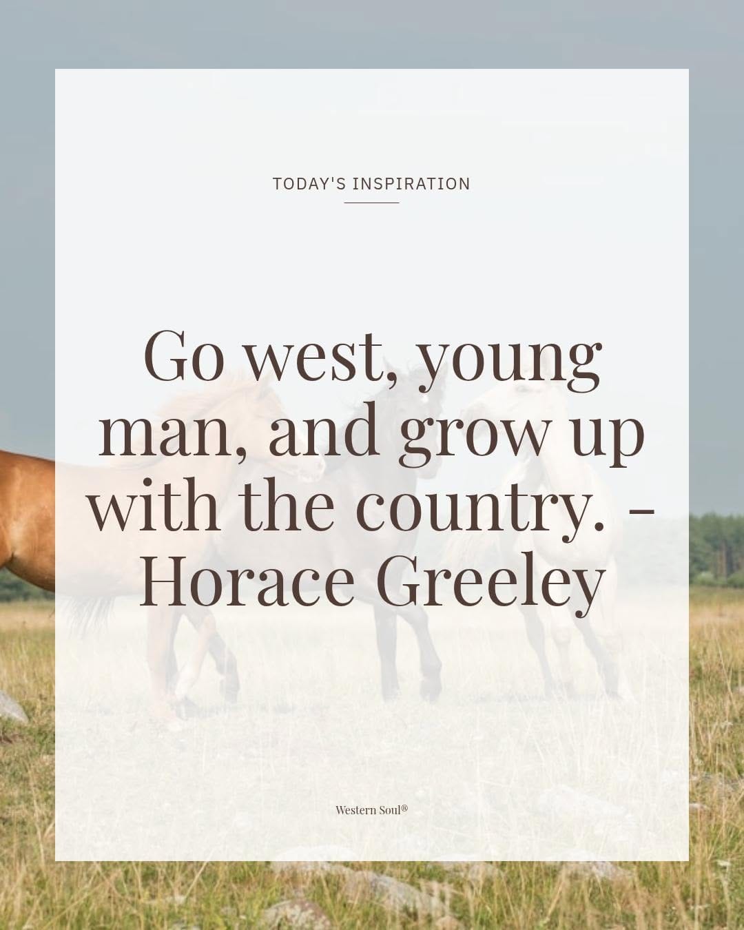 Post 5 by Western Soul®️ on Instagram (image)