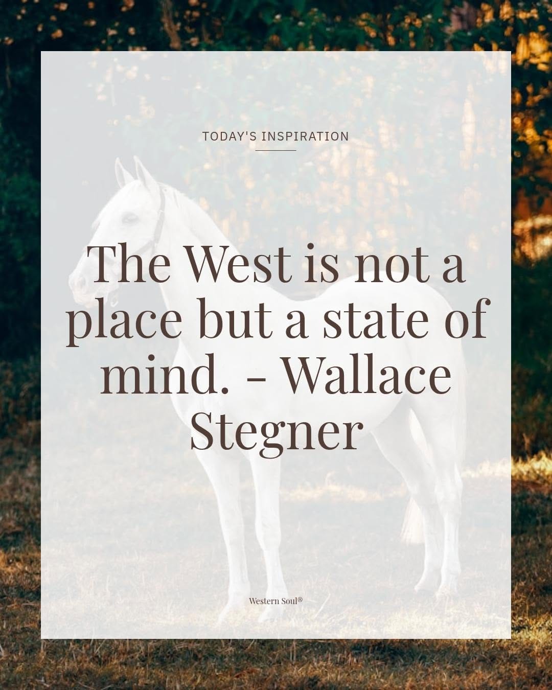Post 10 by Western Soul®️ on Instagram (image)
