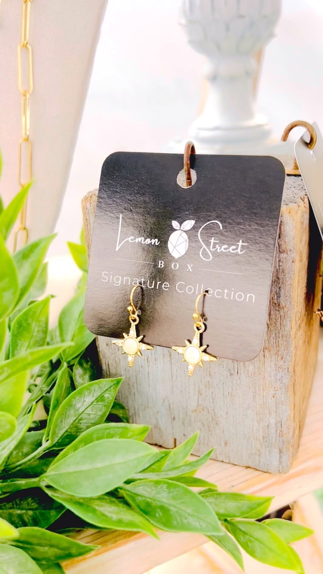 Post 5 by Lemon Street Box on Instagram (video)