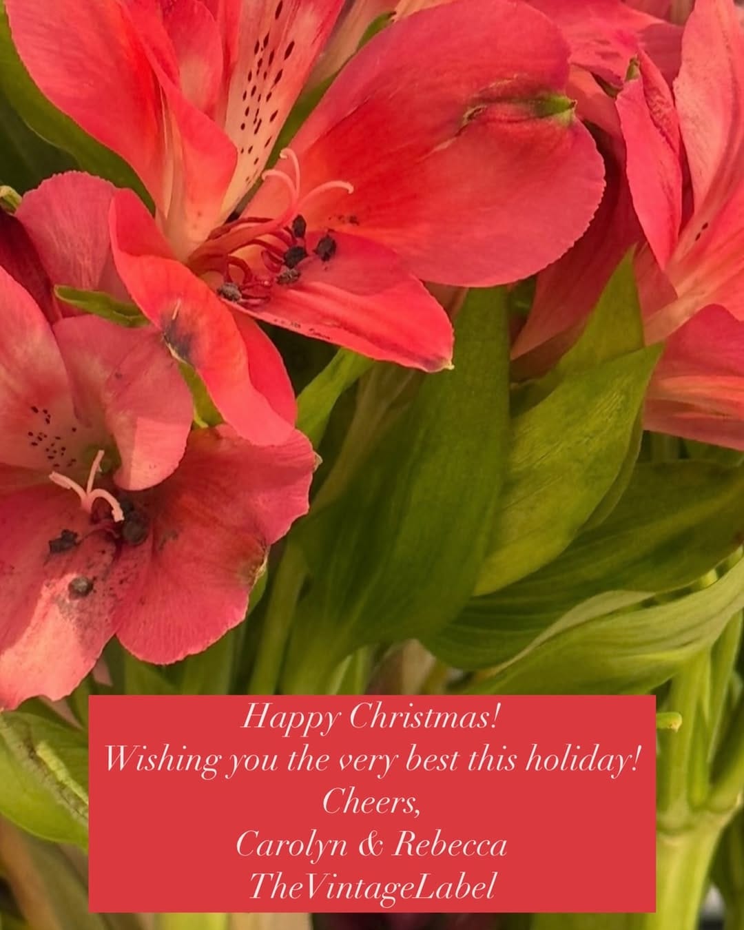 Post 2 by Carolyn Carrington * The Vintage Label, LLC®️ on Instagram (image)