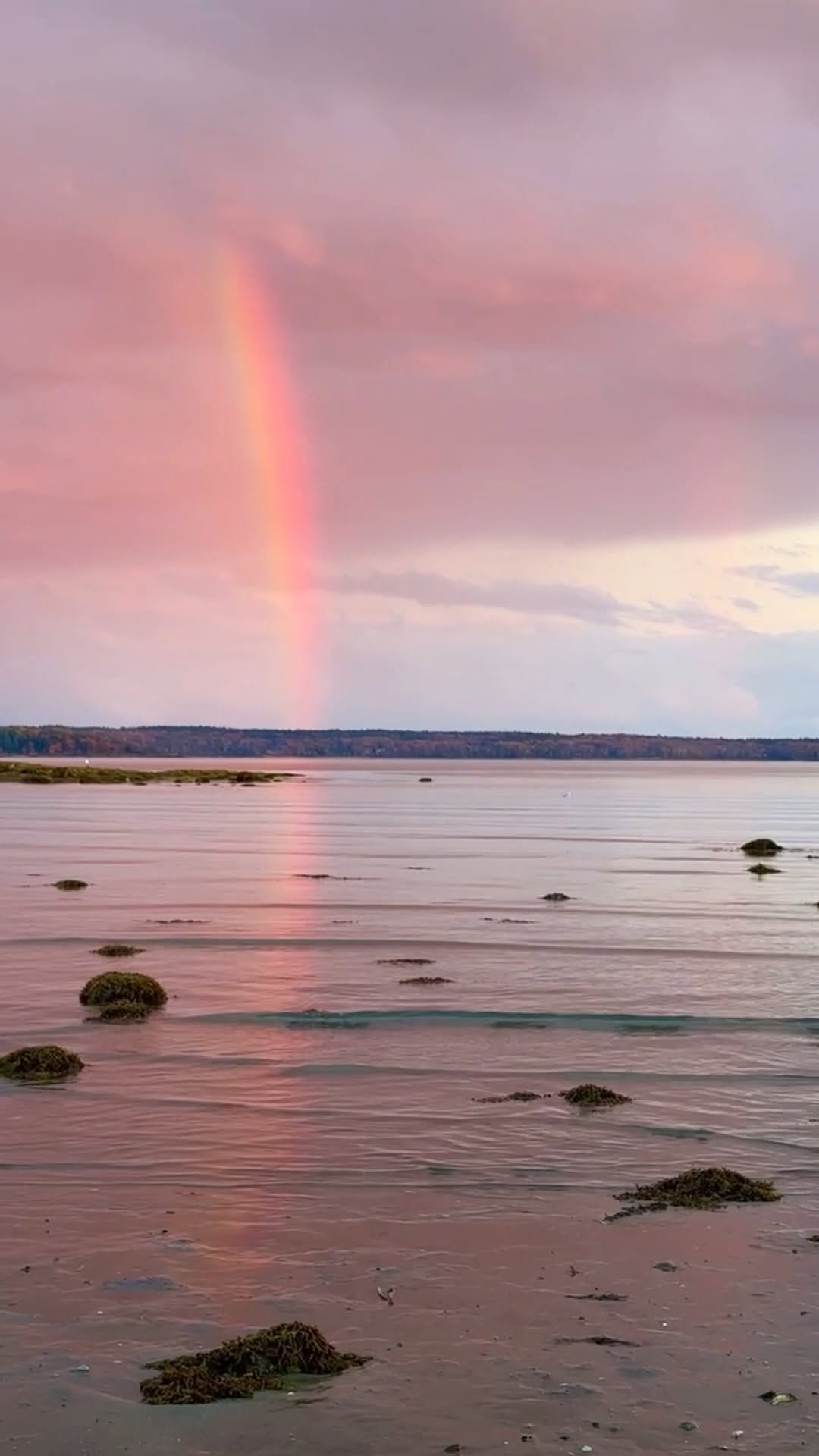 Post 8 by Wildwood Oyster Co. on Instagram (video)