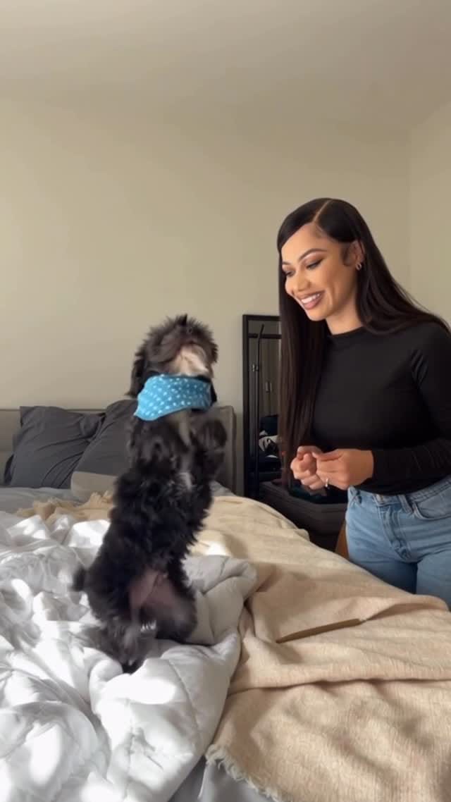 Post 5 by daffini evans on Instagram (video)