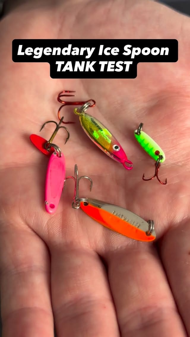 Post 1 by FishUSA on Instagram (video)